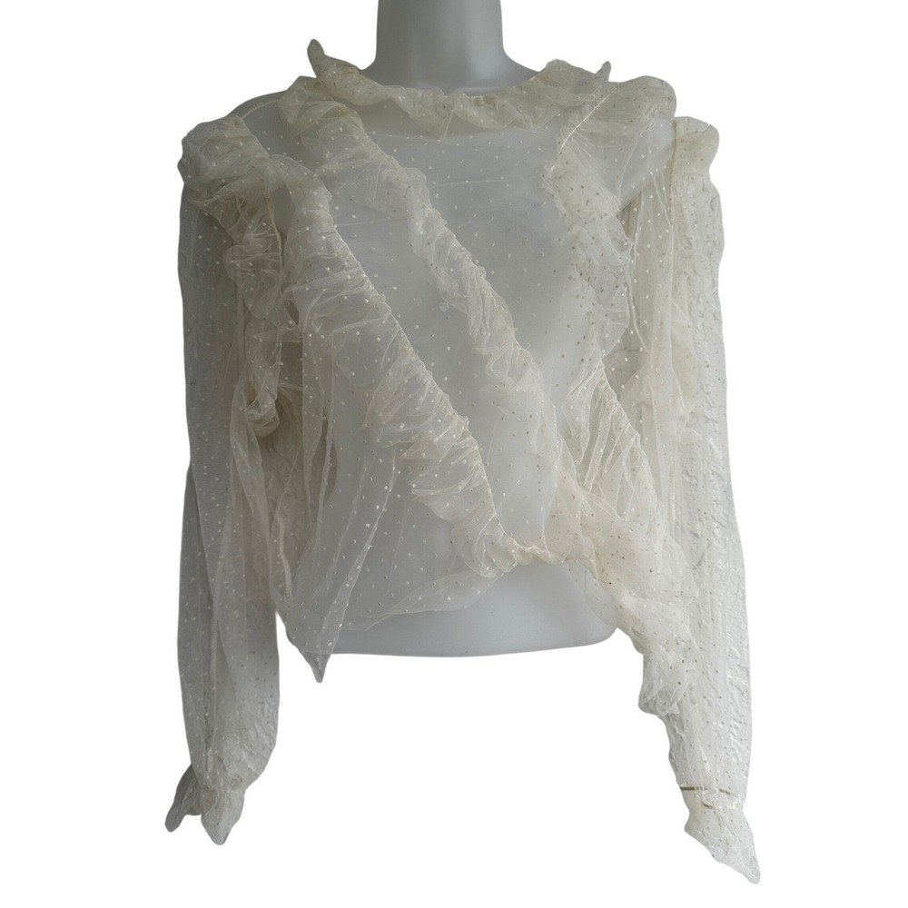 Zara Cream Swiss Dot Mesh Ruffle Blouse Sheer High Neck Long Sleeve Small